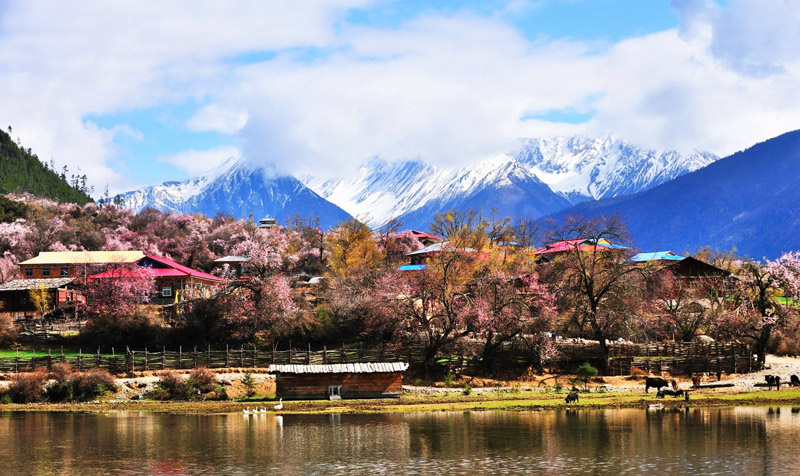 林芝雅魯藏布大峽谷景區(qū)游(圖文)