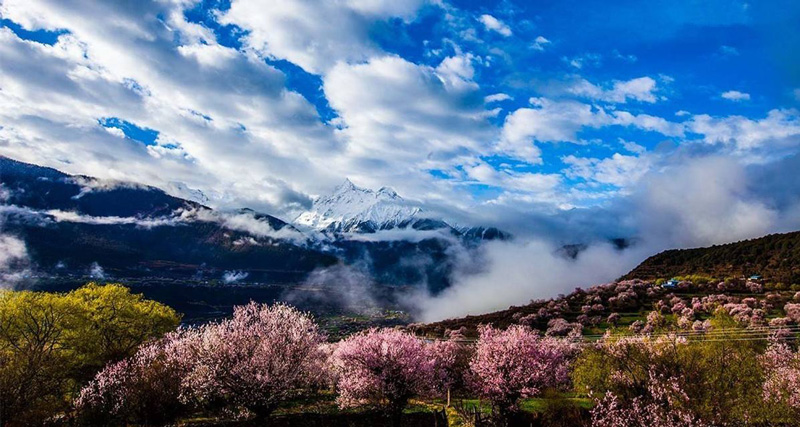 林芝波密桃花溝墨脫環(huán)線(xiàn)游(圖文)